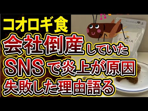 【コオロギ食】給食に初めて使われたことで話題になったコオロギパウダーの会社が倒産していた！コオロギパンの「コオロギカフェ」も破産、コオロギ食とはなんだったのか